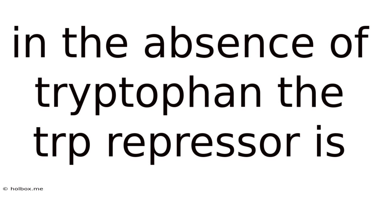 In The Absence Of Tryptophan The Trp Repressor Is