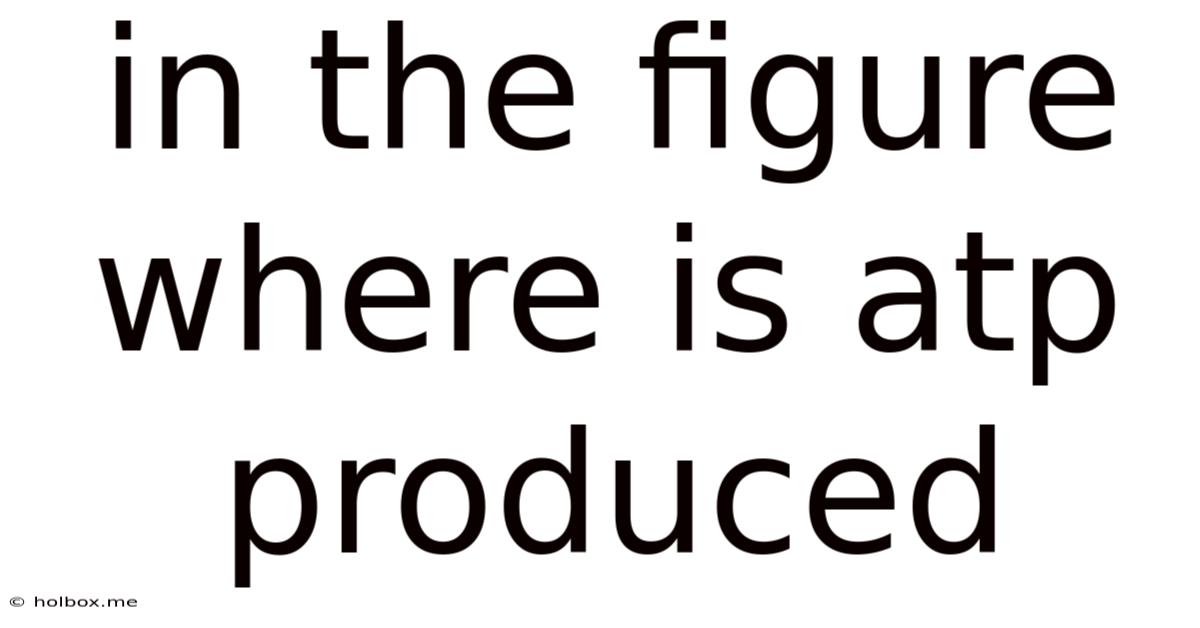 In The Figure Where Is Atp Produced