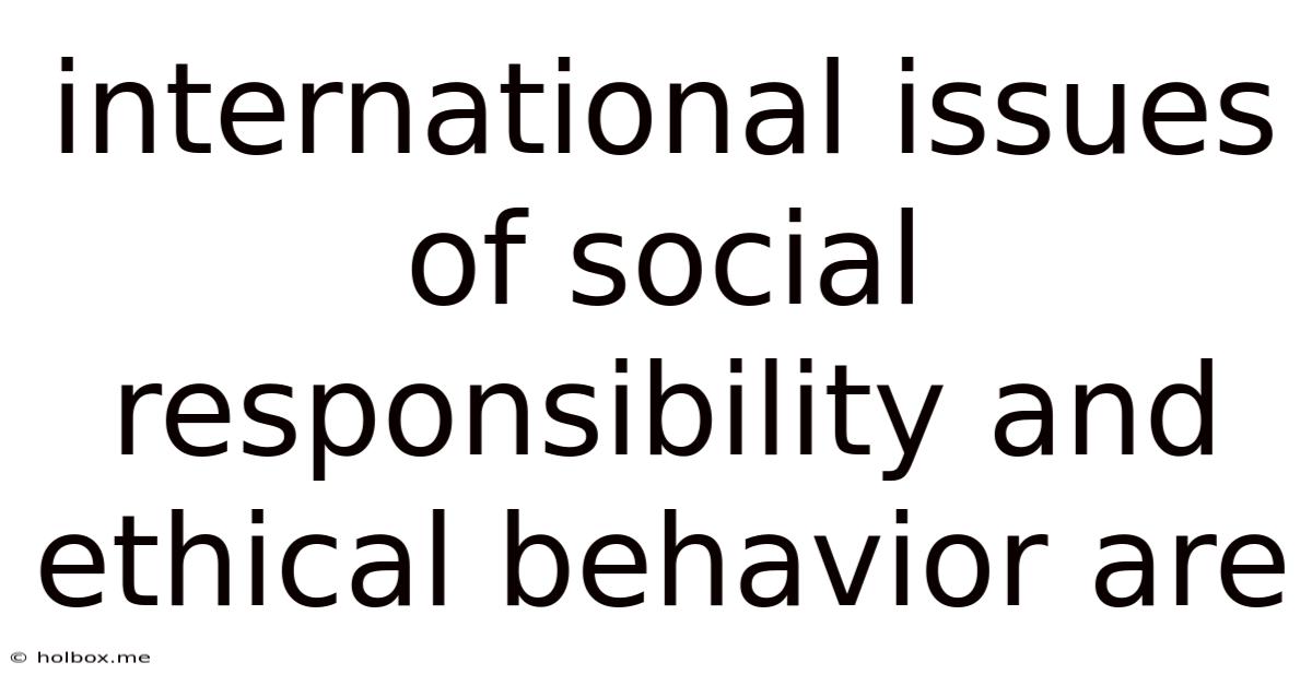 International Issues Of Social Responsibility And Ethical Behavior Are