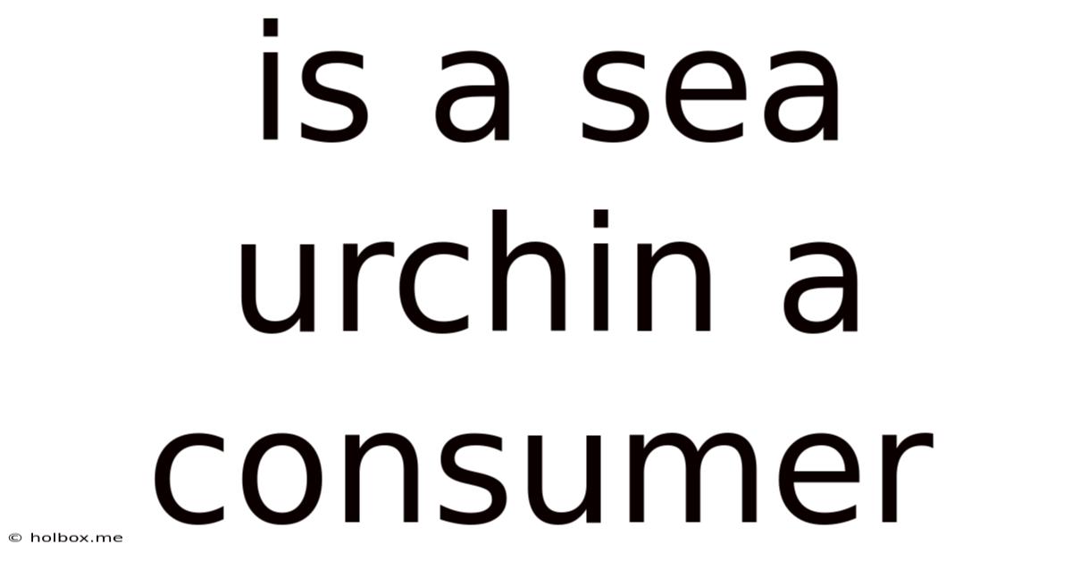 Is A Sea Urchin A Consumer