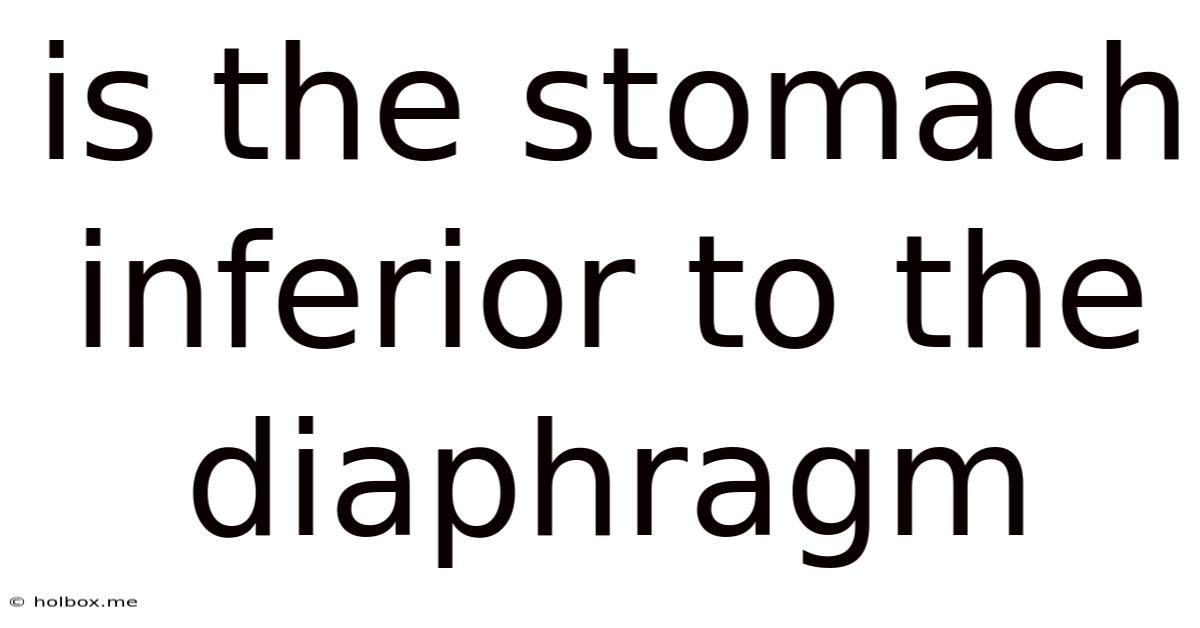 Is The Stomach Inferior To The Diaphragm
