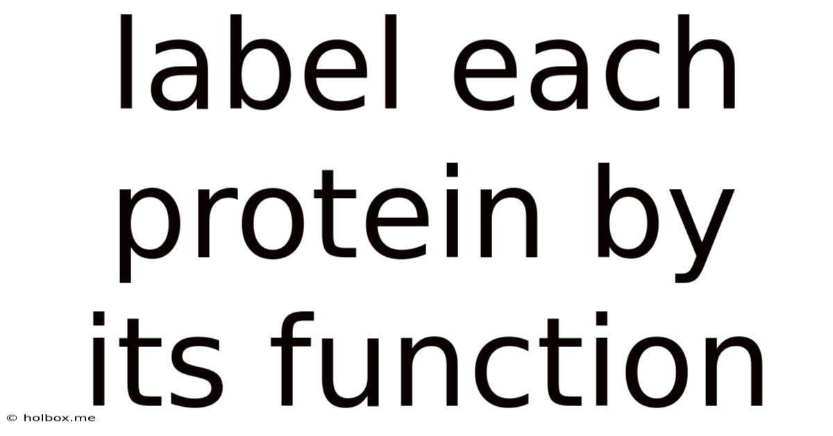 Label Each Protein By Its Function