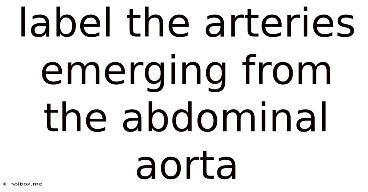 Label The Arteries Emerging From The Abdominal Aorta