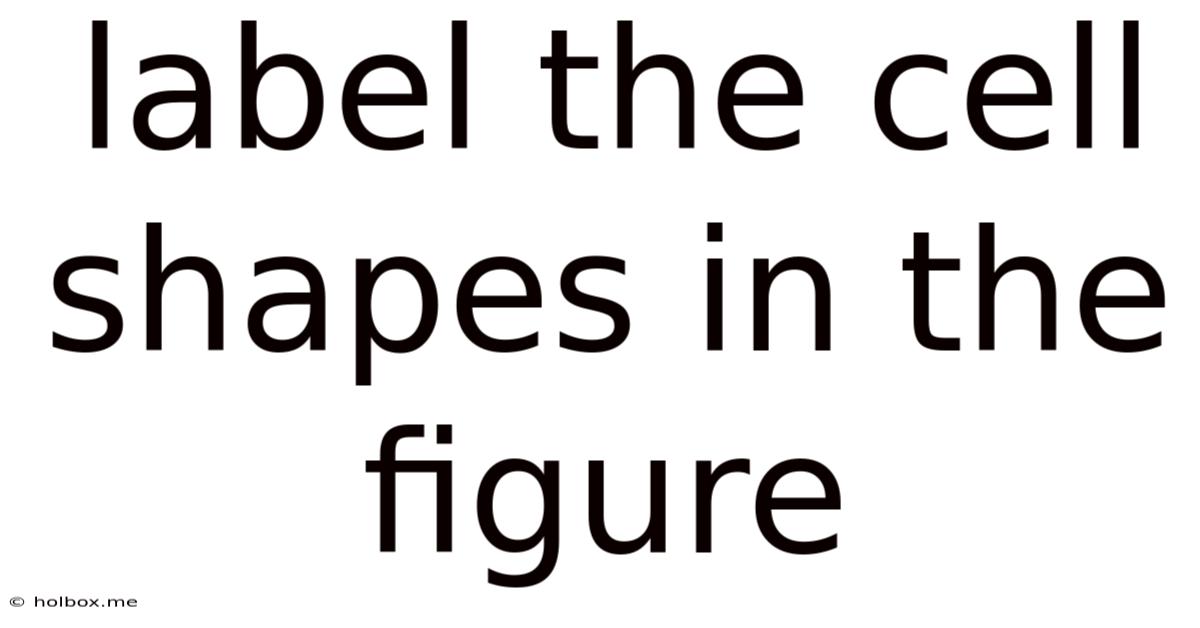 Label The Cell Shapes In The Figure