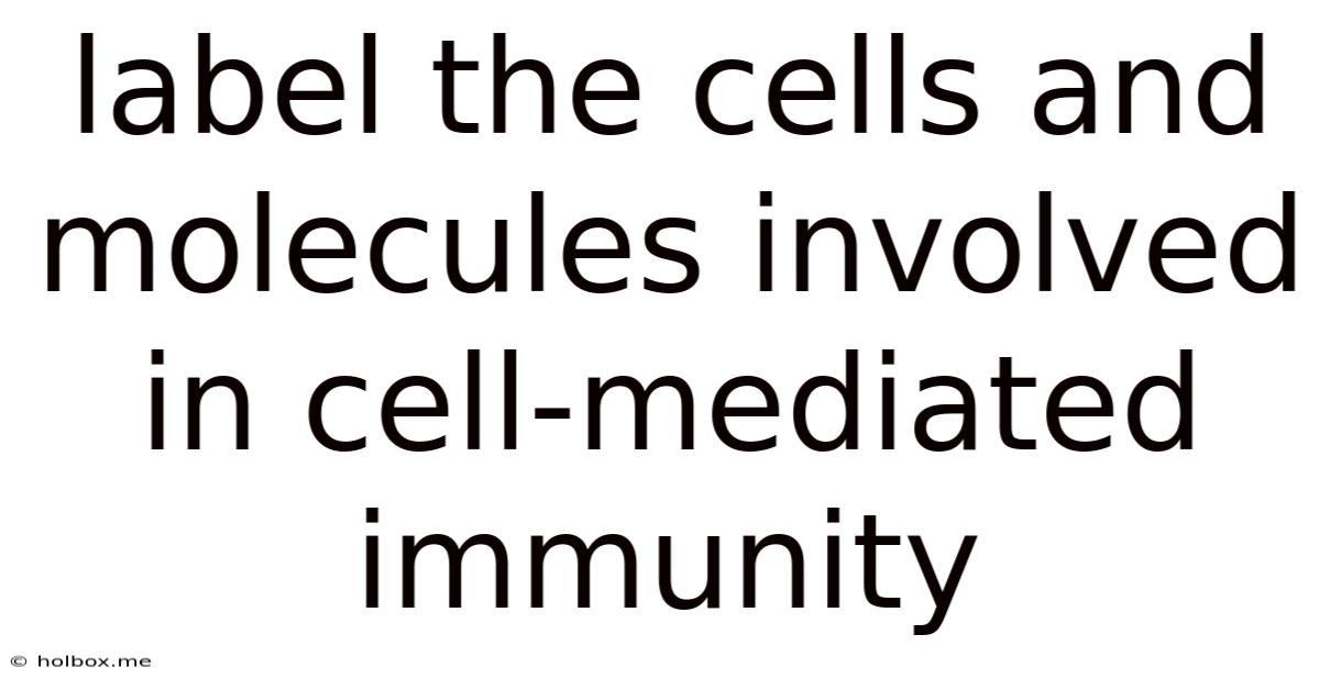 Label The Cells And Molecules Involved In Cell-mediated Immunity