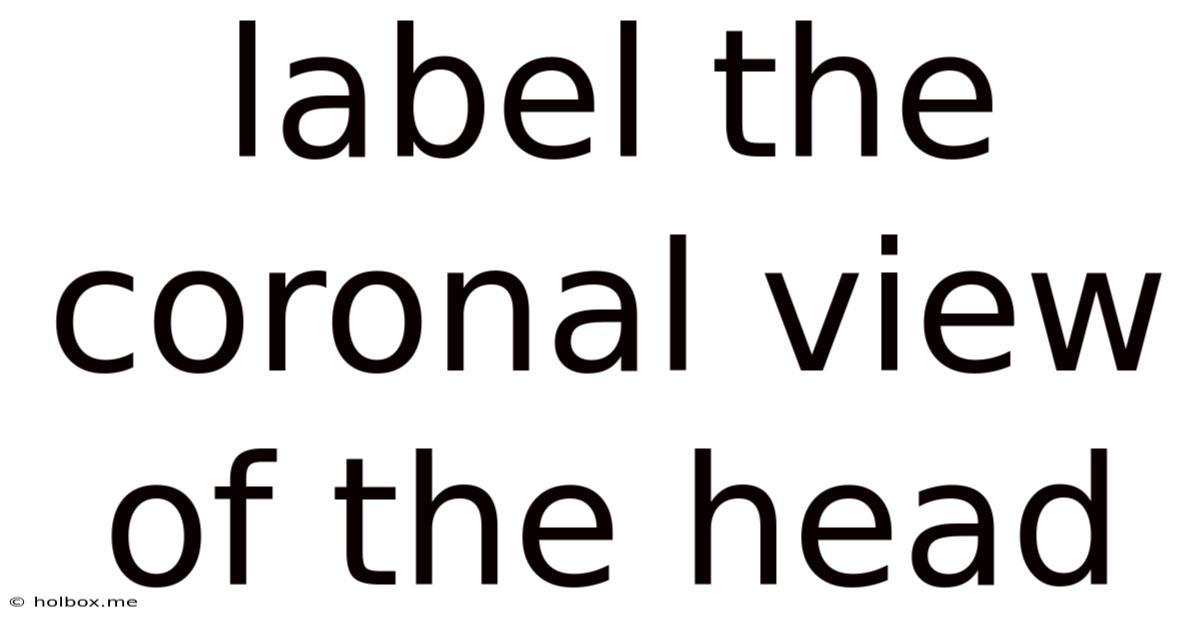 Label The Coronal View Of The Head