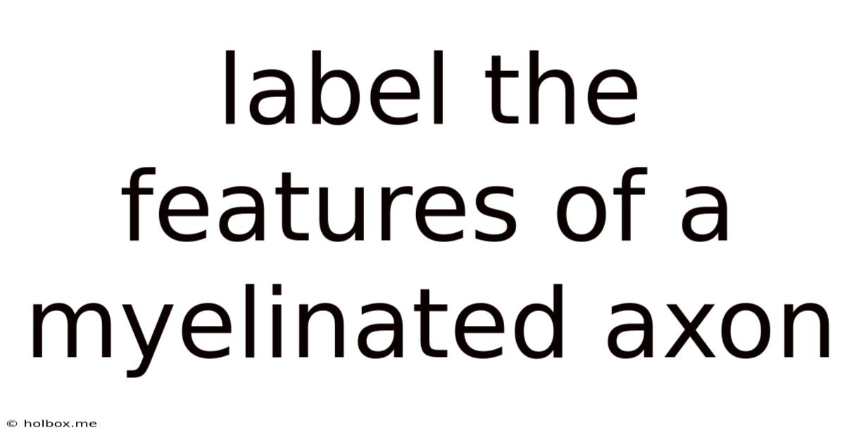 Label The Features Of A Myelinated Axon
