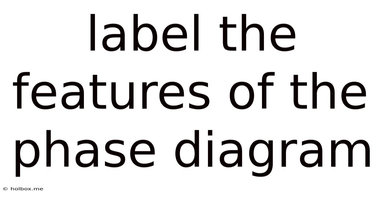 Label The Features Of The Phase Diagram