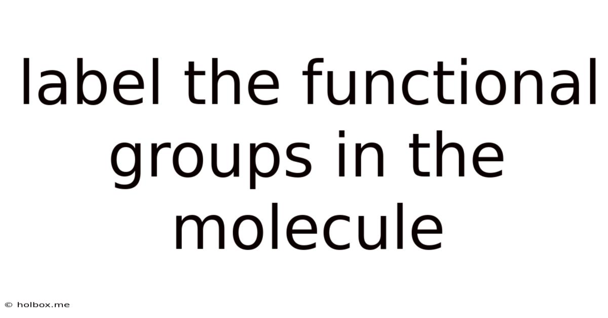 Label The Functional Groups In The Molecule