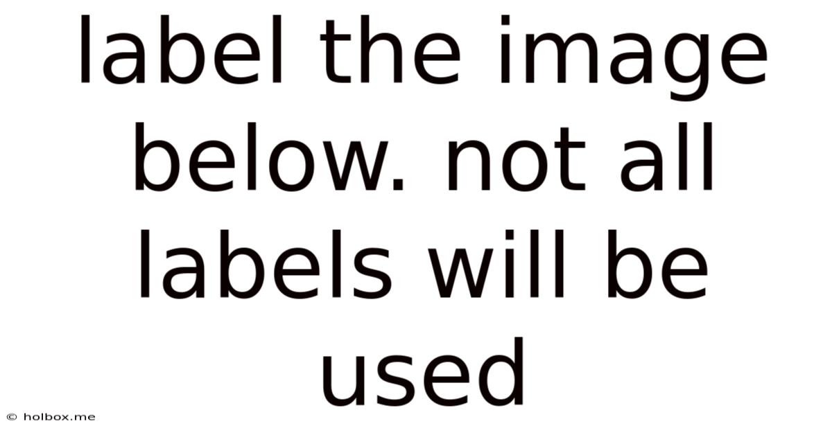 Label The Image Below. Not All Labels Will Be Used