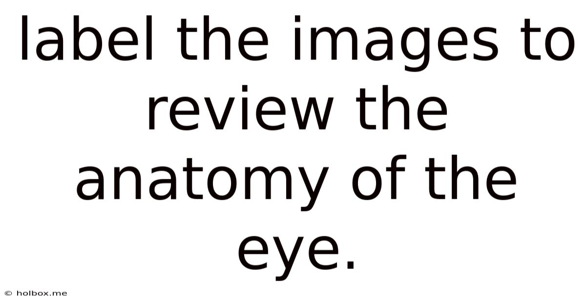 Label The Images To Review The Anatomy Of The Eye.