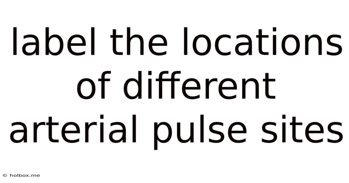 Label The Locations Of Different Arterial Pulse Sites
