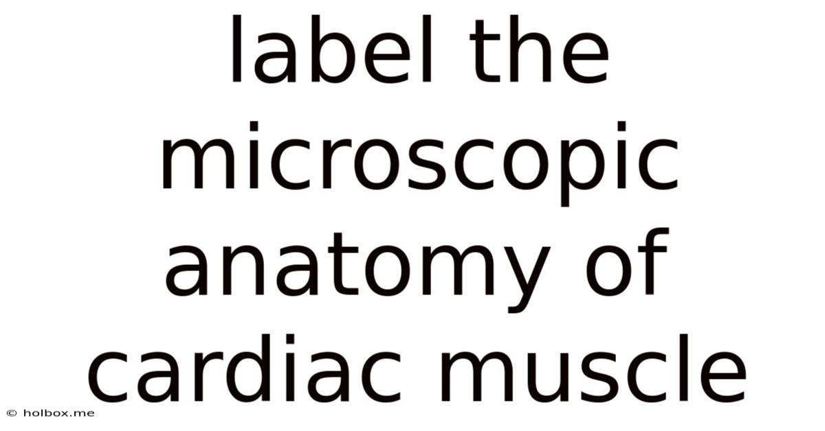 Label The Microscopic Anatomy Of Cardiac Muscle