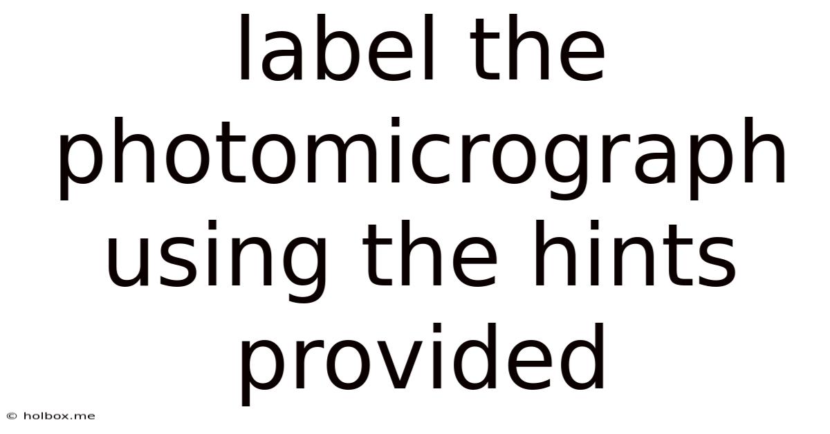 Label The Photomicrograph Using The Hints Provided