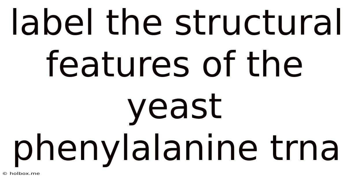 Label The Structural Features Of The Yeast Phenylalanine Trna