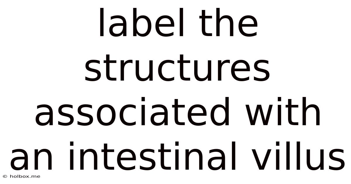 Label The Structures Associated With An Intestinal Villus