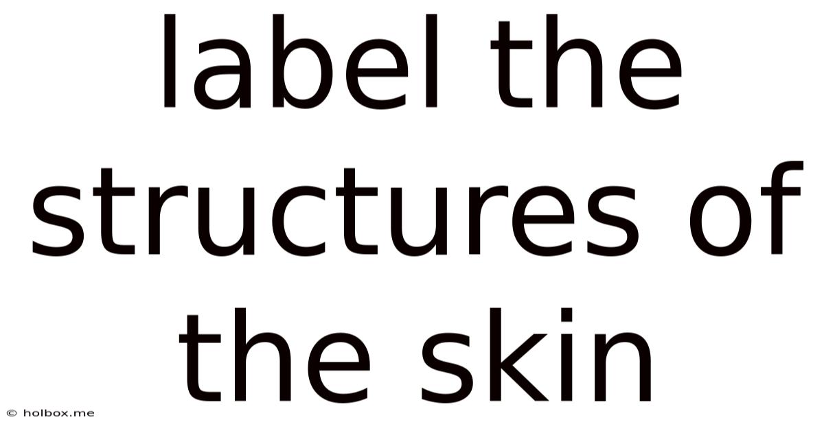 Label The Structures Of The Skin