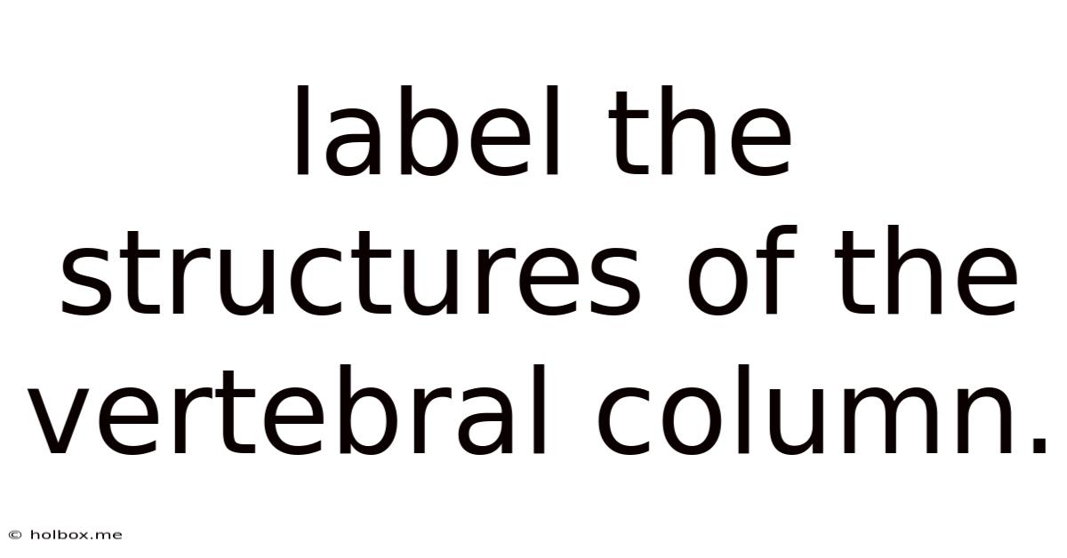 Label The Structures Of The Vertebral Column.