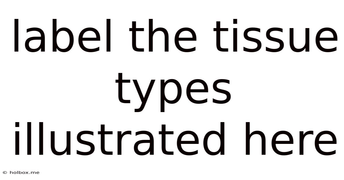 Label The Tissue Types Illustrated Here