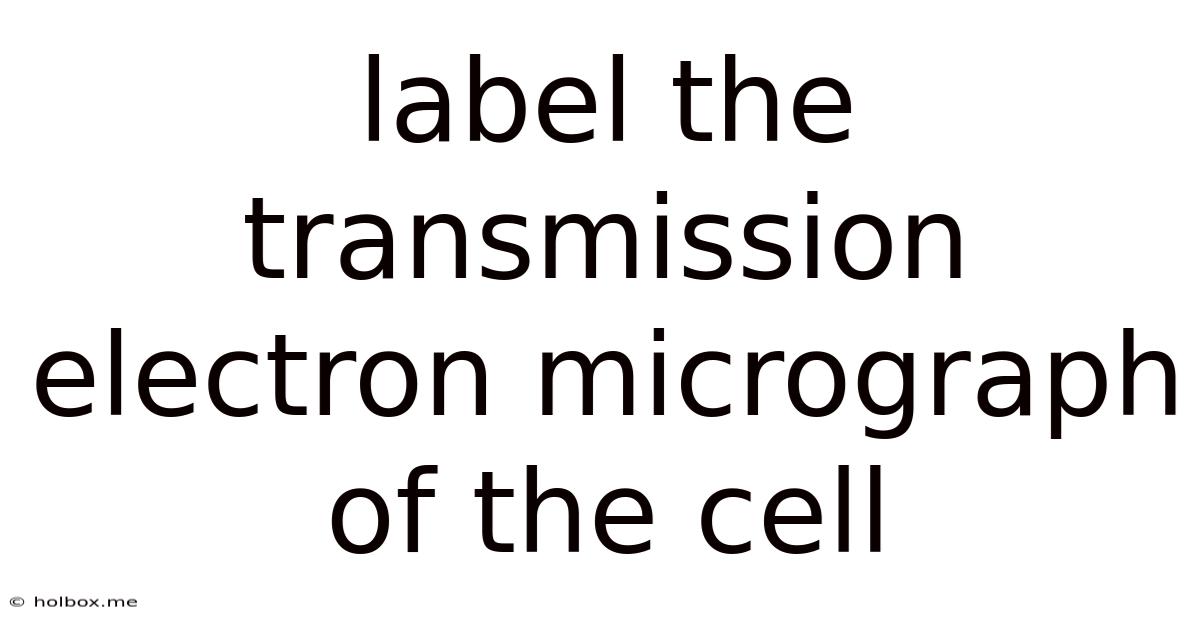 Label The Transmission Electron Micrograph Of The Cell