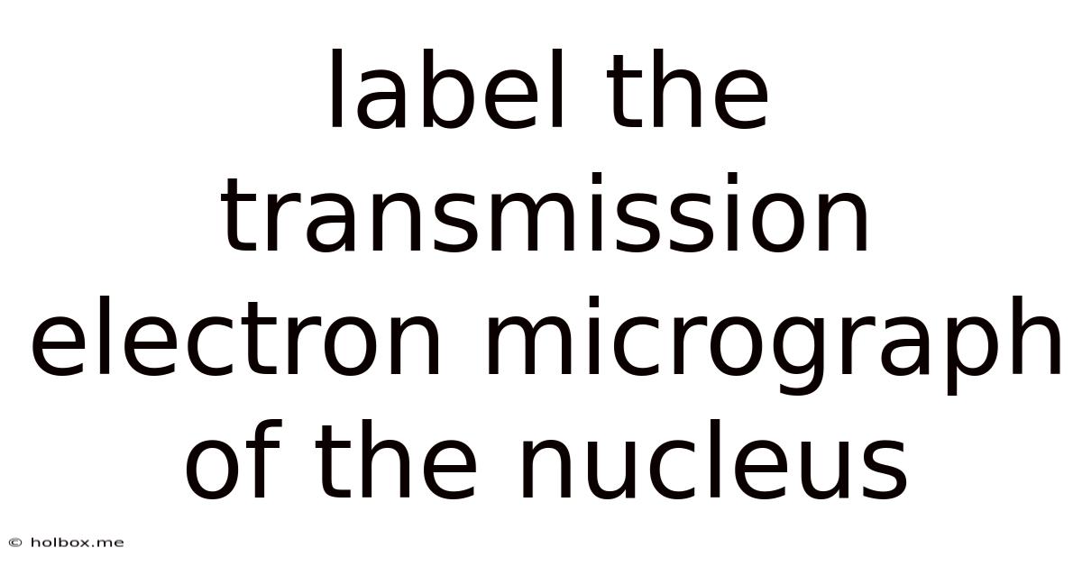 Label The Transmission Electron Micrograph Of The Nucleus