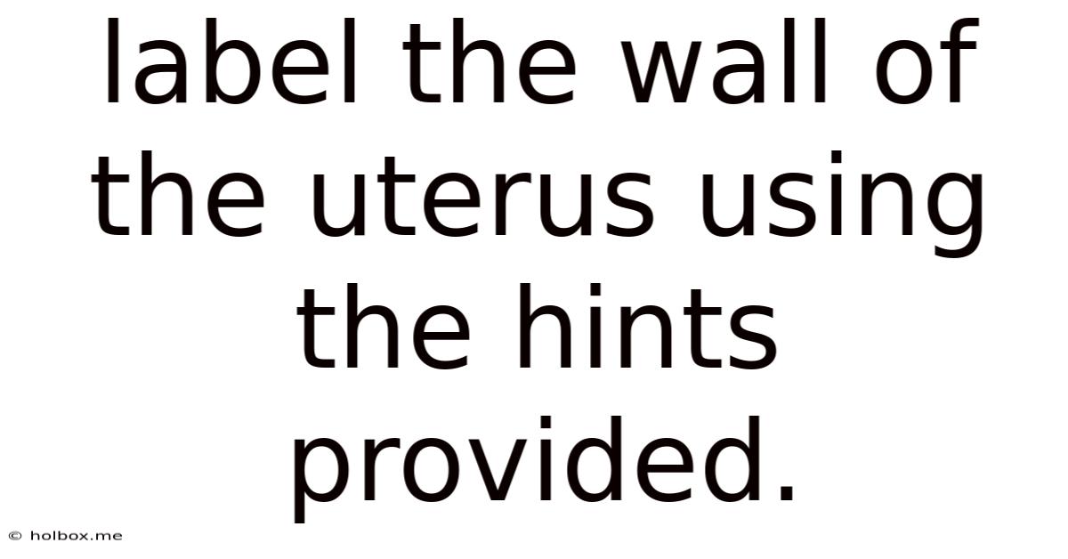 Label The Wall Of The Uterus Using The Hints Provided.