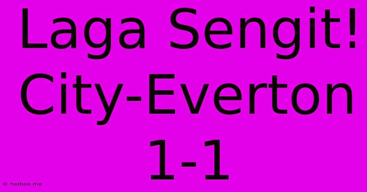 Laga Sengit! City-Everton 1-1