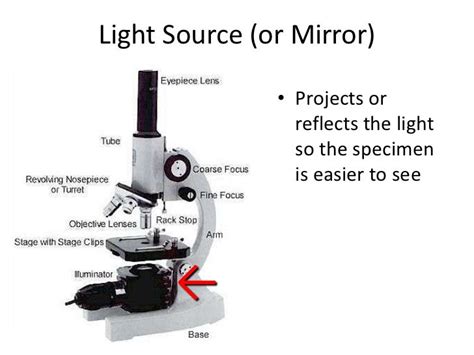 Light Source Of A Microscope Function