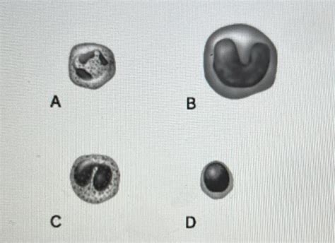 Main Bacteria Killer During Acute Infections