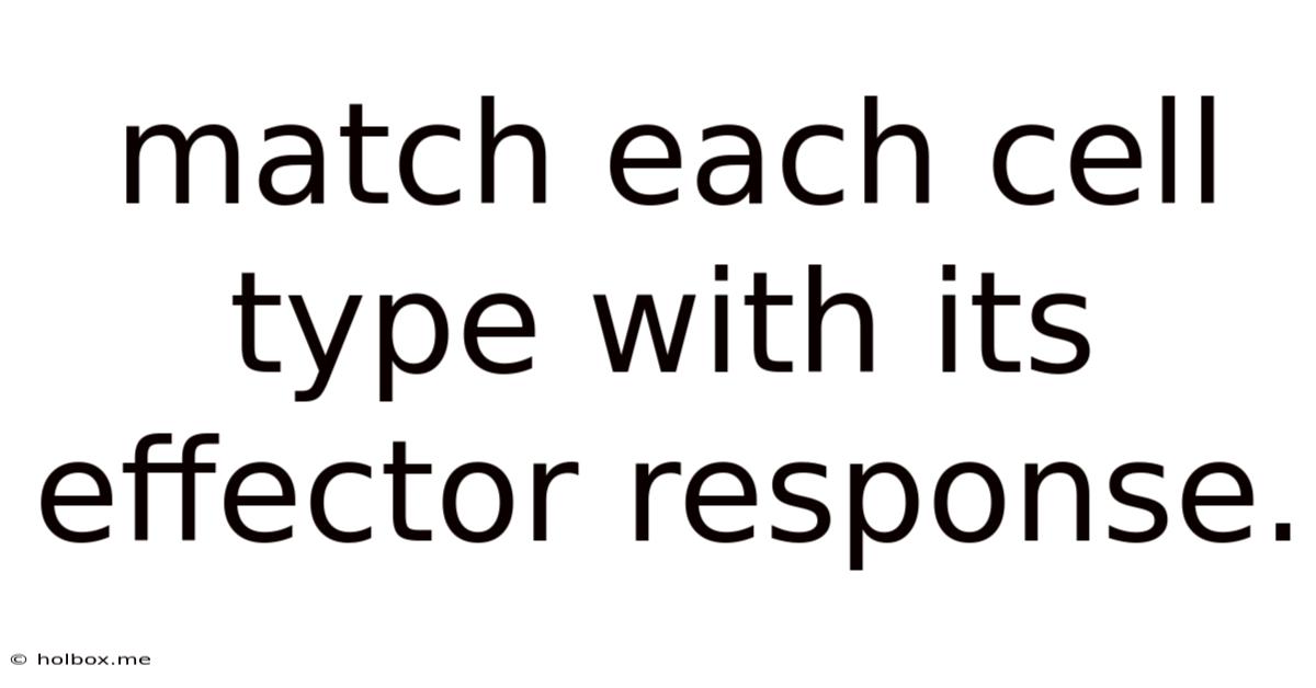 Match Each Cell Type With Its Effector Response.