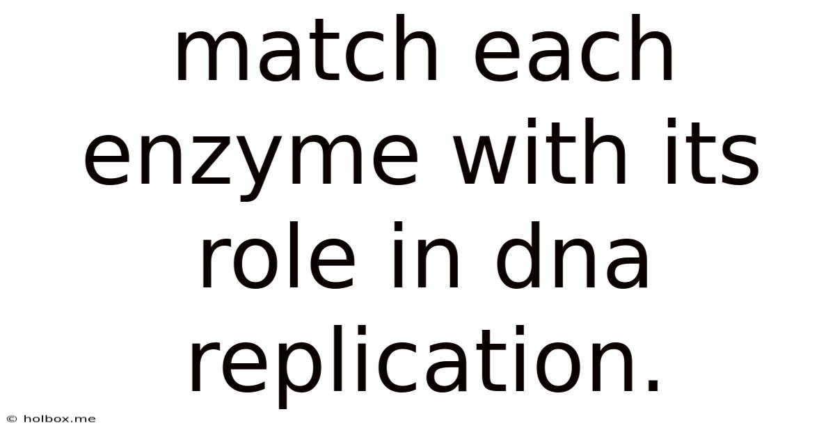 Match Each Enzyme With Its Role In Dna Replication.
