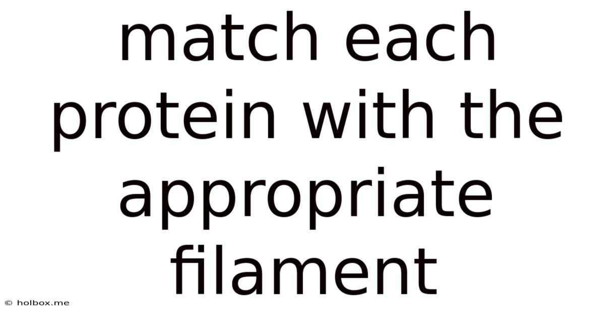 Match Each Protein With The Appropriate Filament