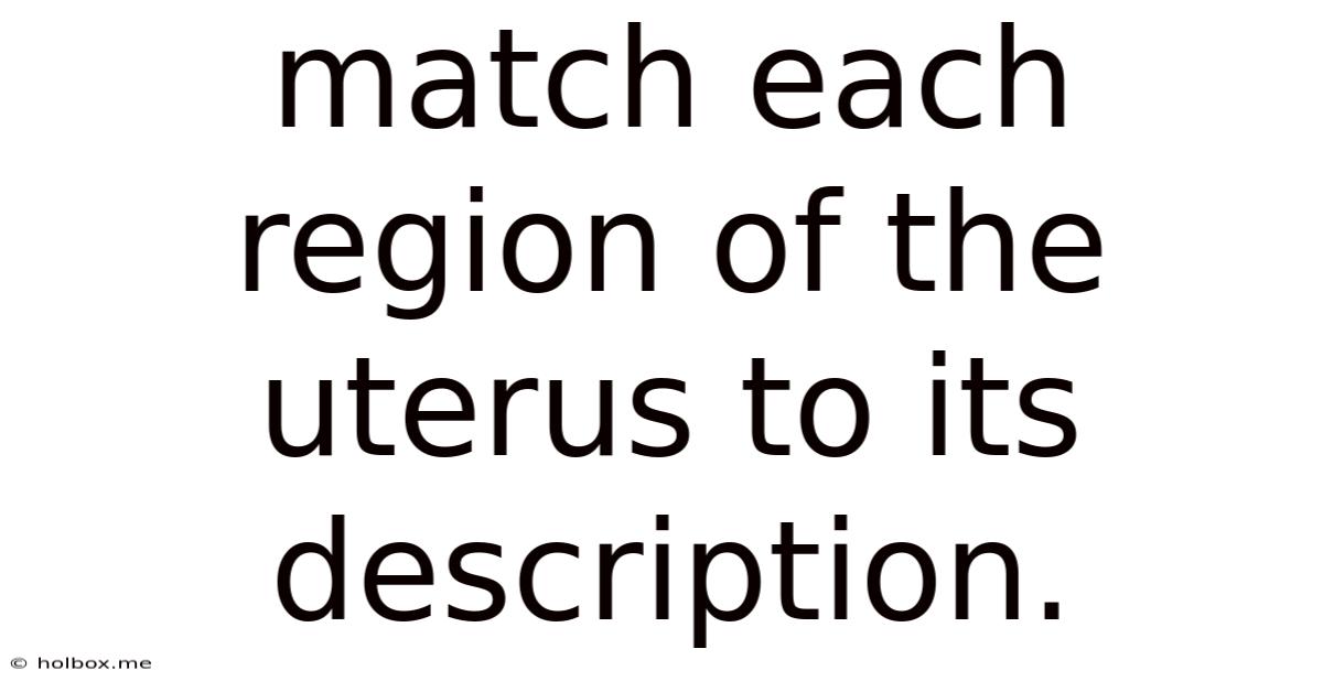 Match Each Region Of The Uterus To Its Description.