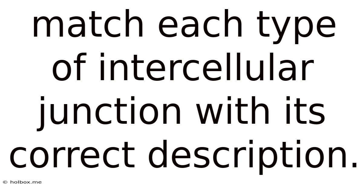 Match Each Type Of Intercellular Junction With Its Correct Description.
