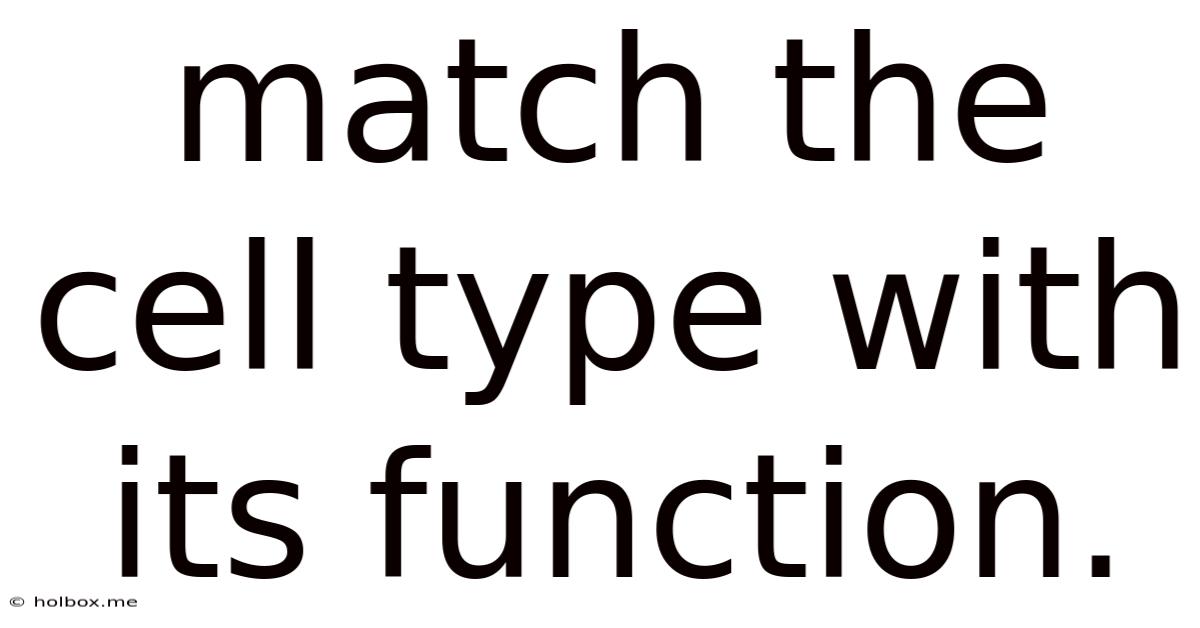 Match The Cell Type With Its Function.