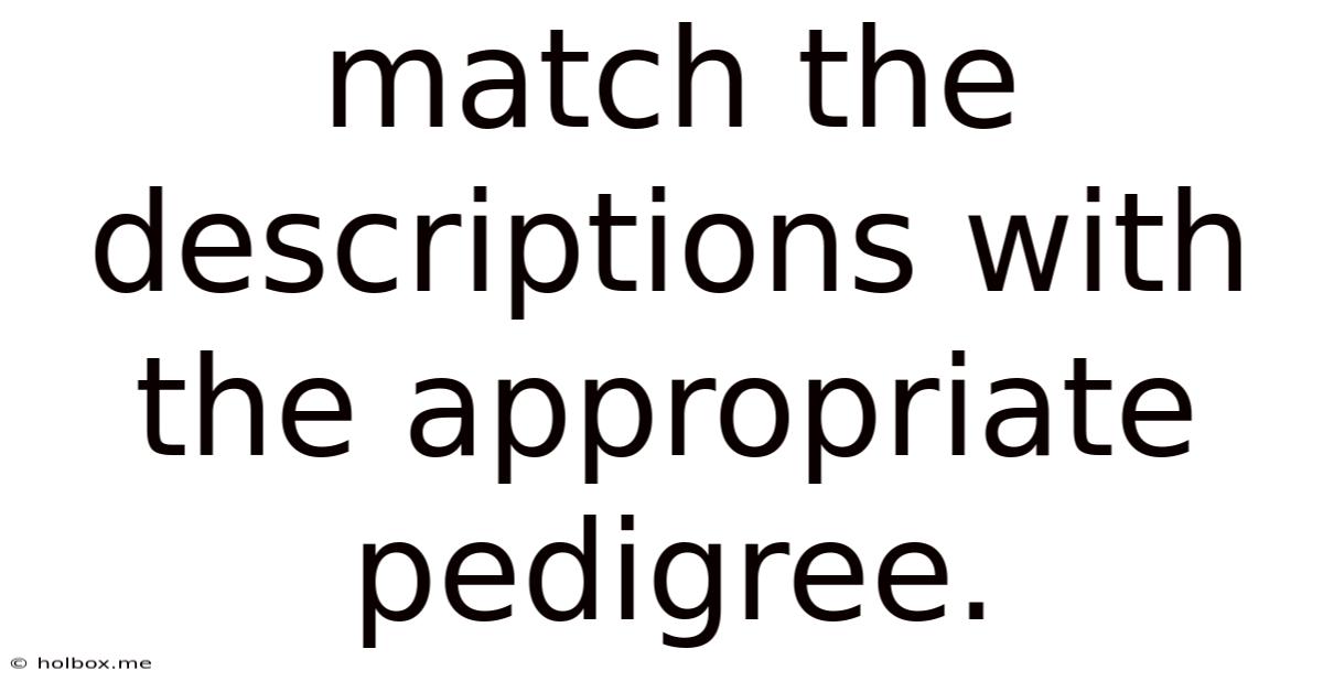 Match The Descriptions With The Appropriate Pedigree.