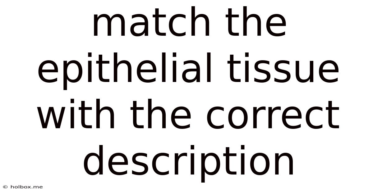 Match The Epithelial Tissue With The Correct Description