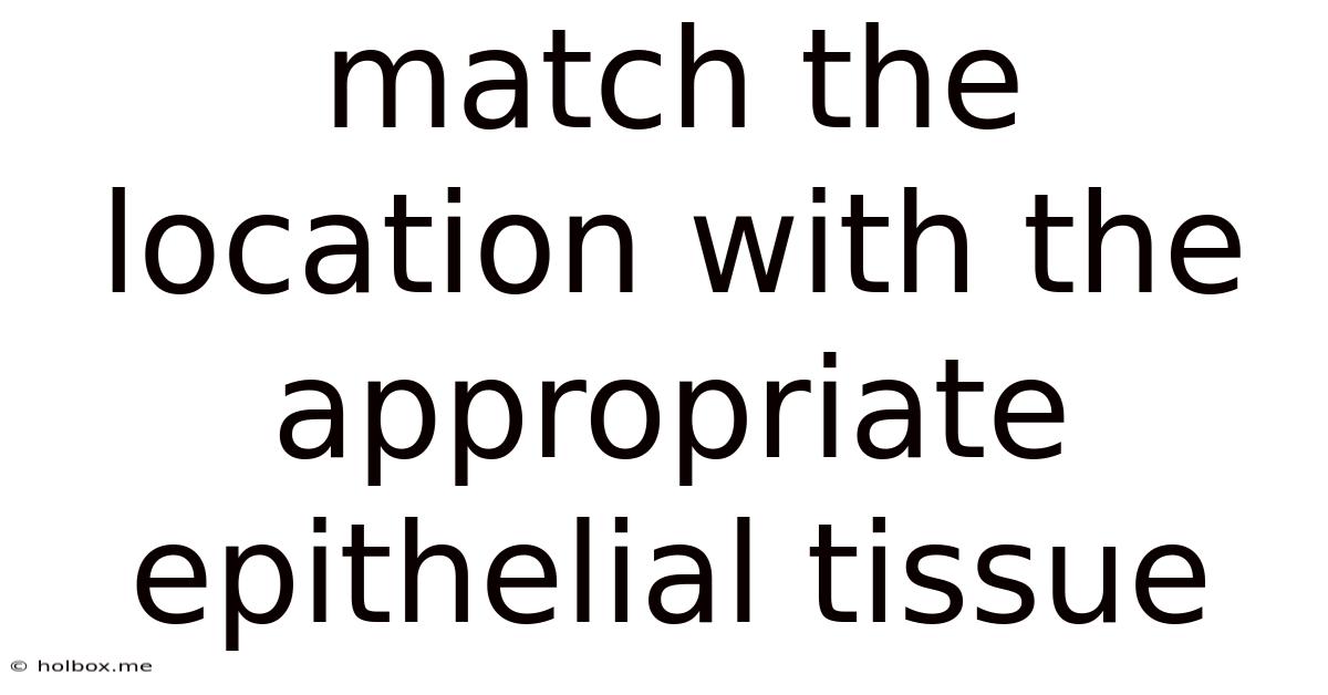 Match The Location With The Appropriate Epithelial Tissue