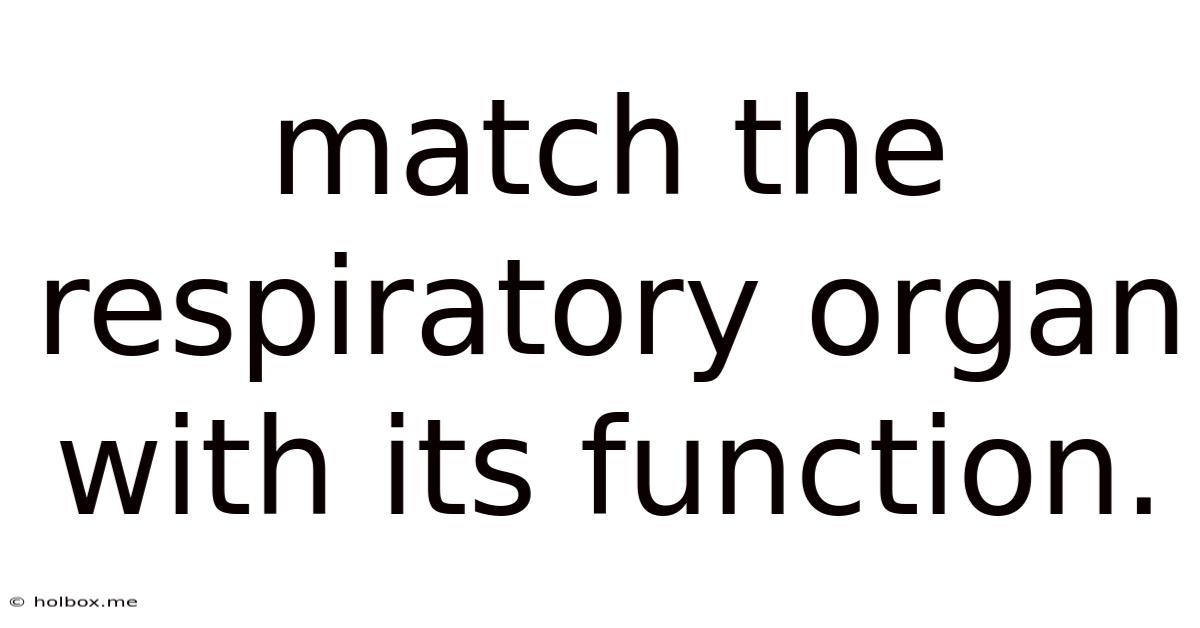 Match The Respiratory Organ With Its Function.