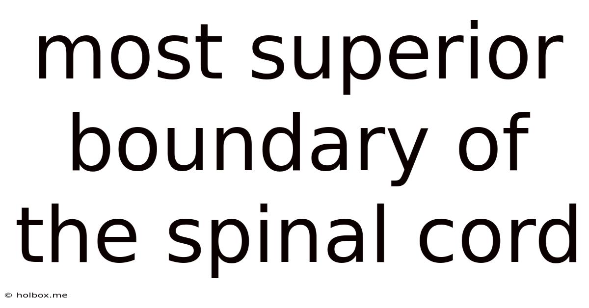 Most Superior Boundary Of The Spinal Cord
