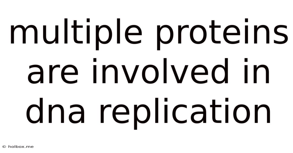 Multiple Proteins Are Involved In Dna Replication
