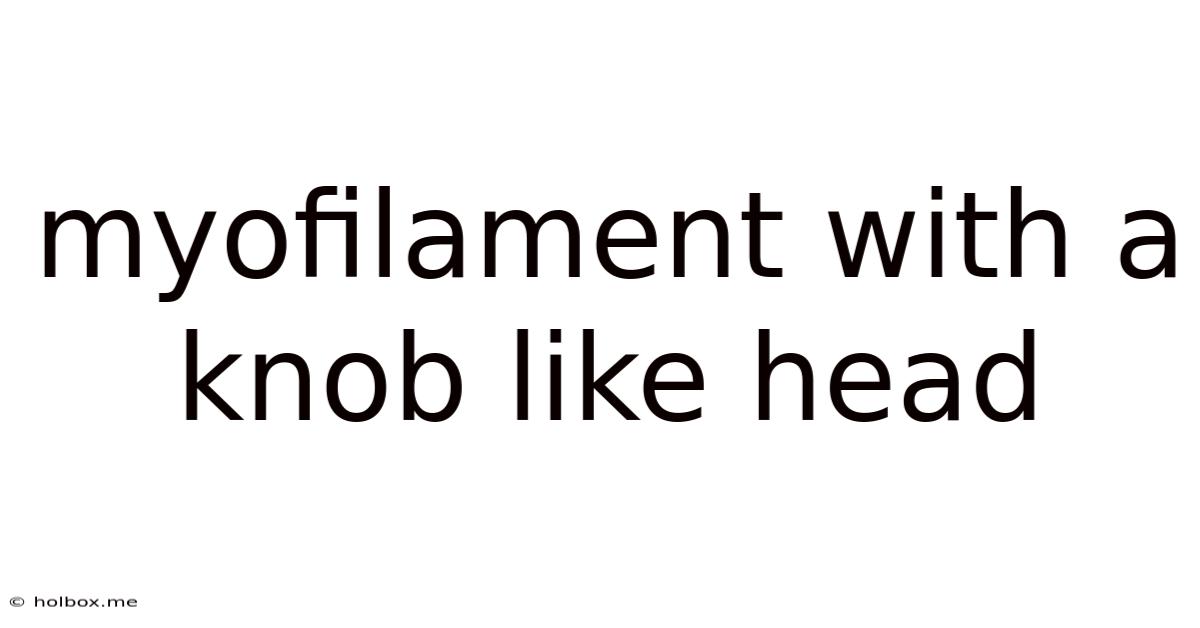 Myofilament With A Knob Like Head