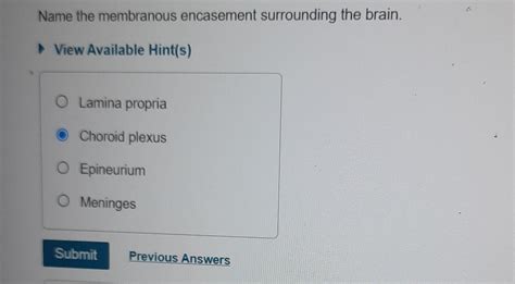 Name The Membranous Encasement Surrounding The Brain.