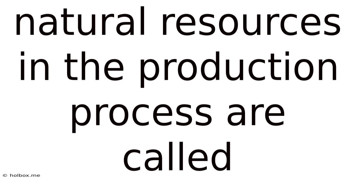 Natural Resources In The Production Process Are Called