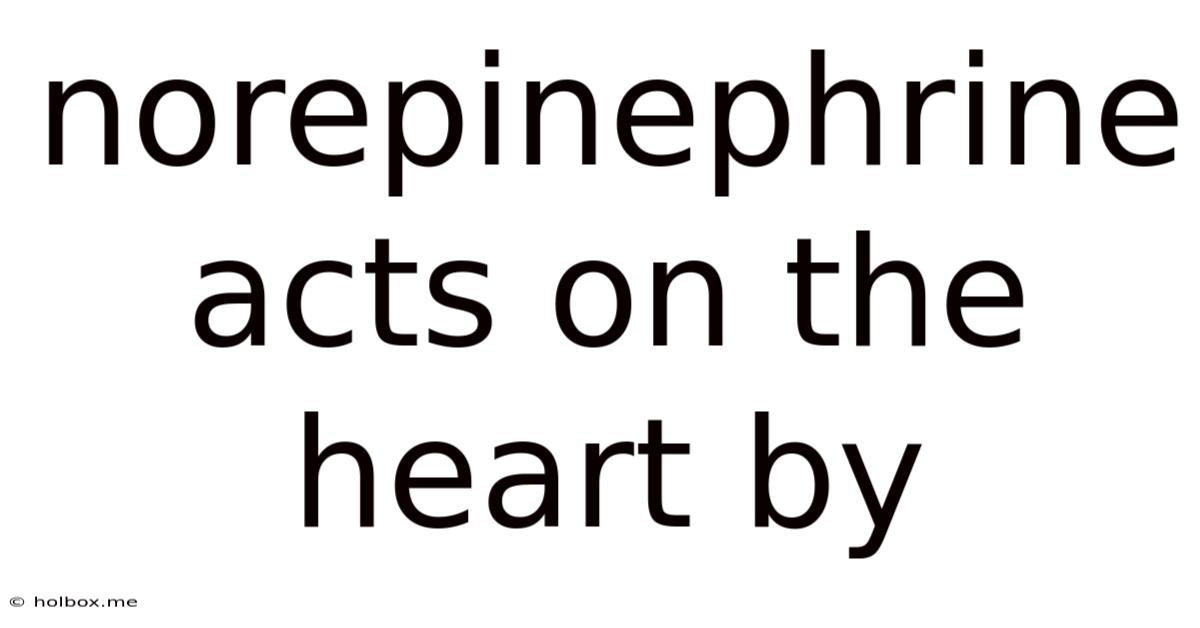 Norepinephrine Acts On The Heart By