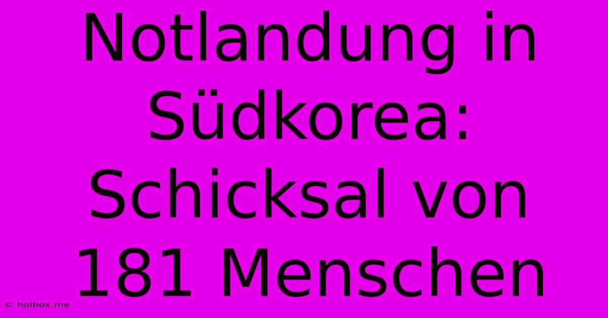 Notlandung In Südkorea: Schicksal Von 181 Menschen