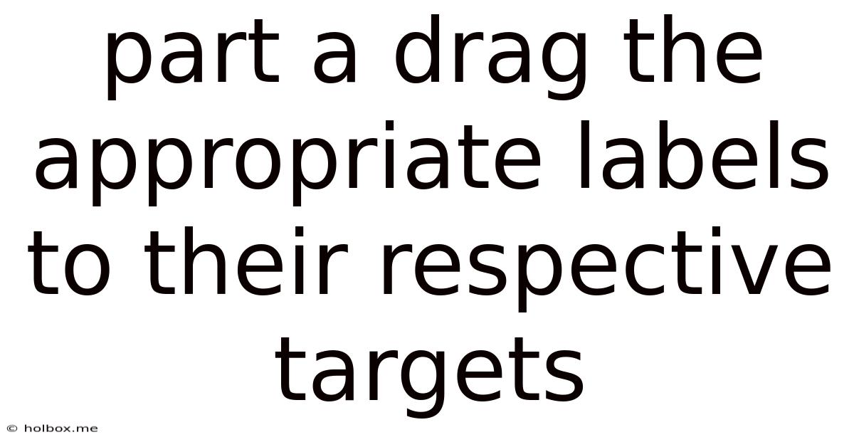 Part A Drag The Appropriate Labels To Their Respective Targets