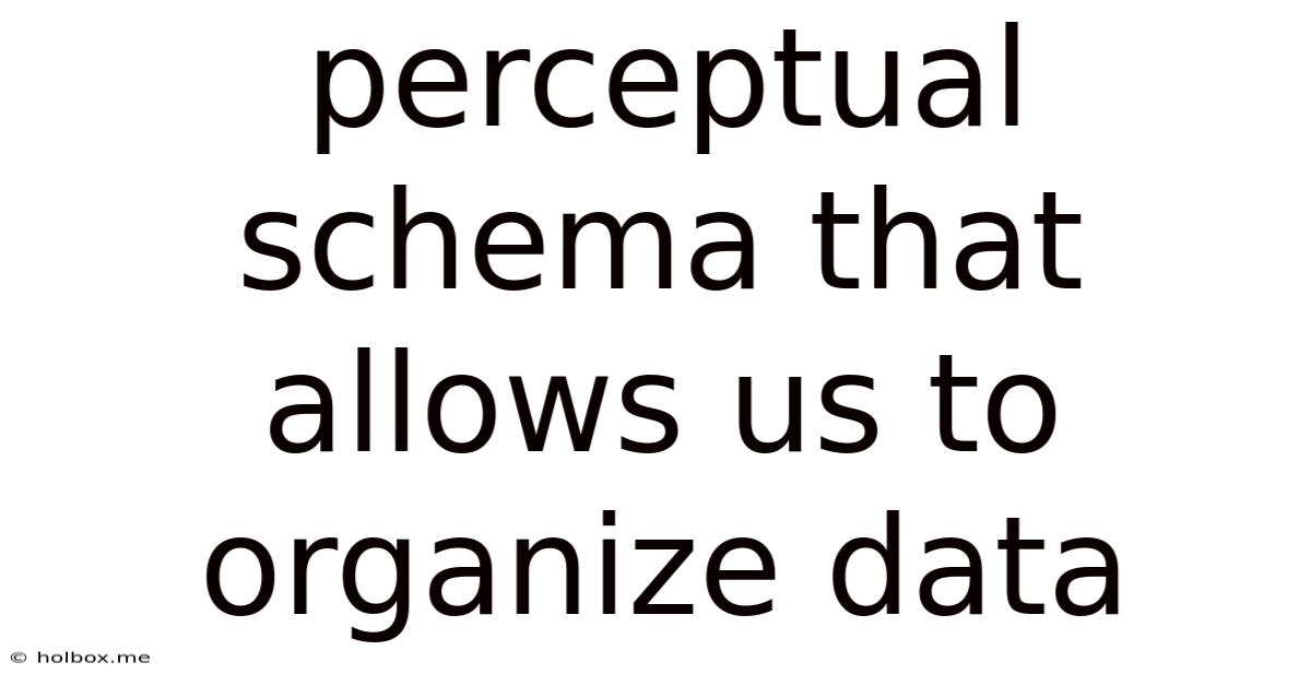 Perceptual Schema That Allows Us To Organize Data