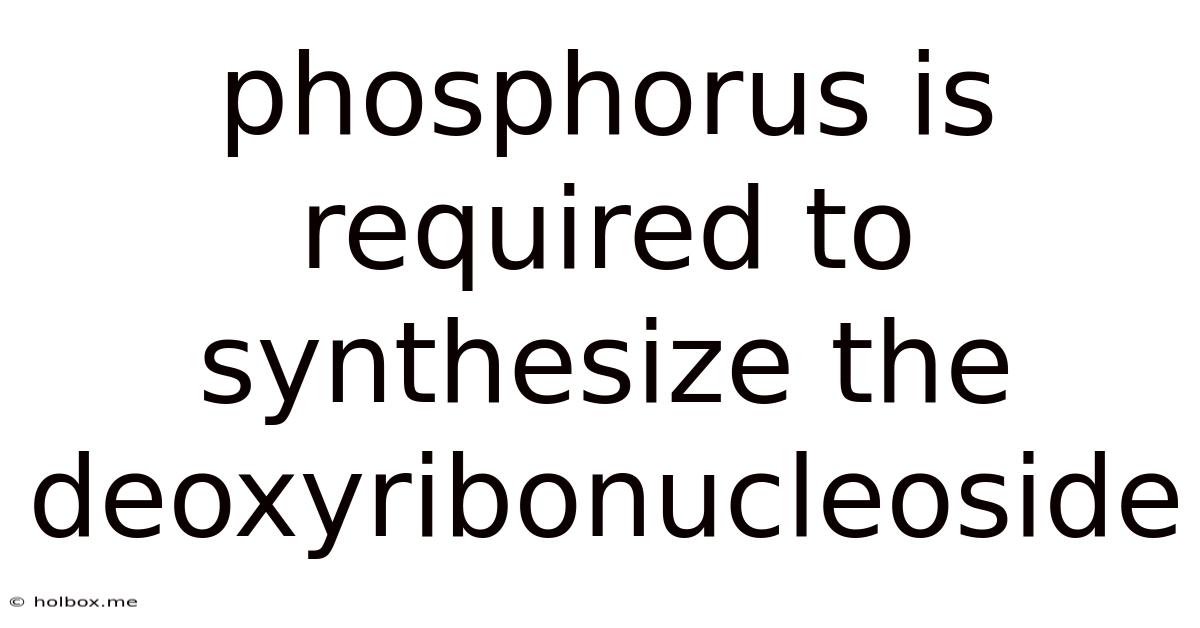 Phosphorus Is Required To Synthesize The Deoxyribonucleoside