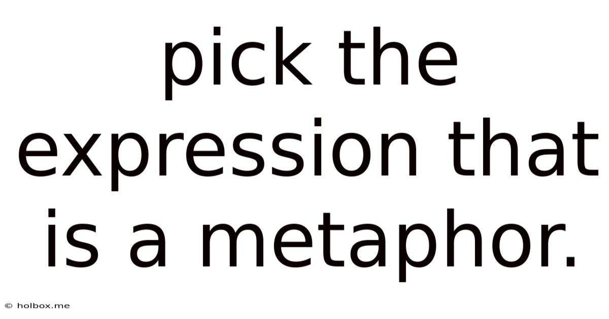 Pick The Expression That Is A Metaphor.